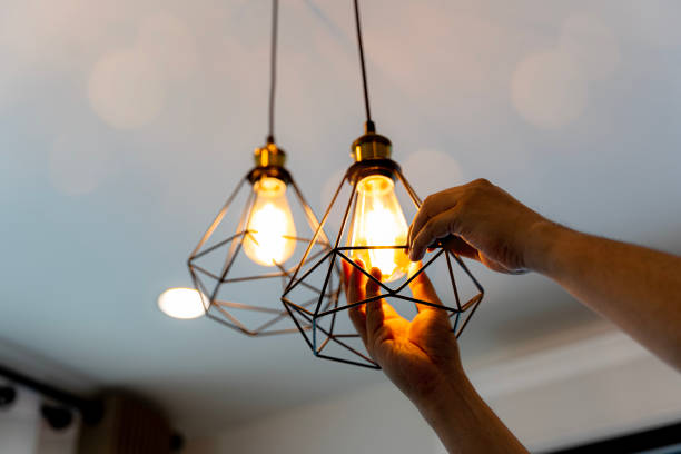 Best Licensed Electrician  in Maynardville, TN