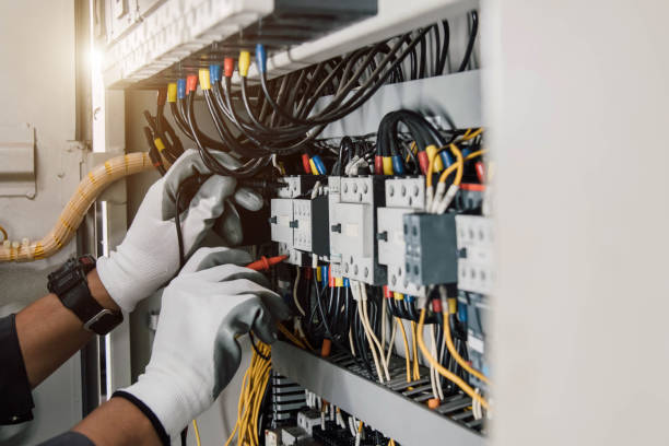 Best Electric Panel Repair  in Maynardville, TN